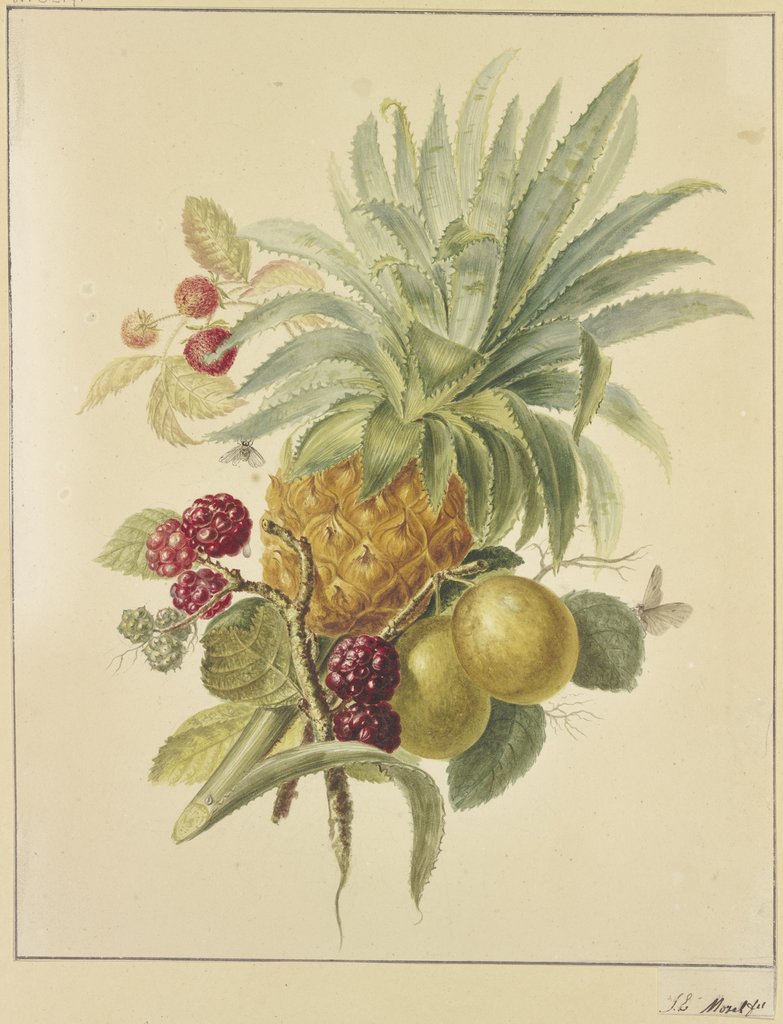 Eine Ananas, Pflaumen und Himbeeren, Jan Evert Morel