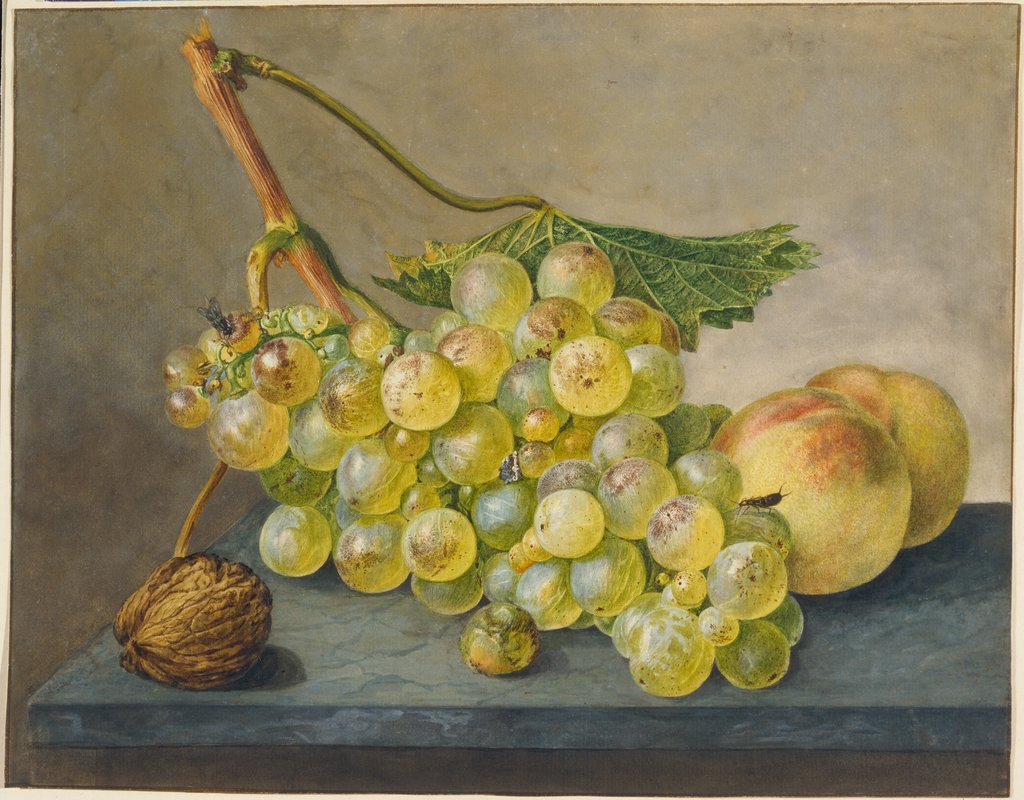 Still Life with Bunch of Grapes, Walnut and Peaches, Wybrand Hendriks
