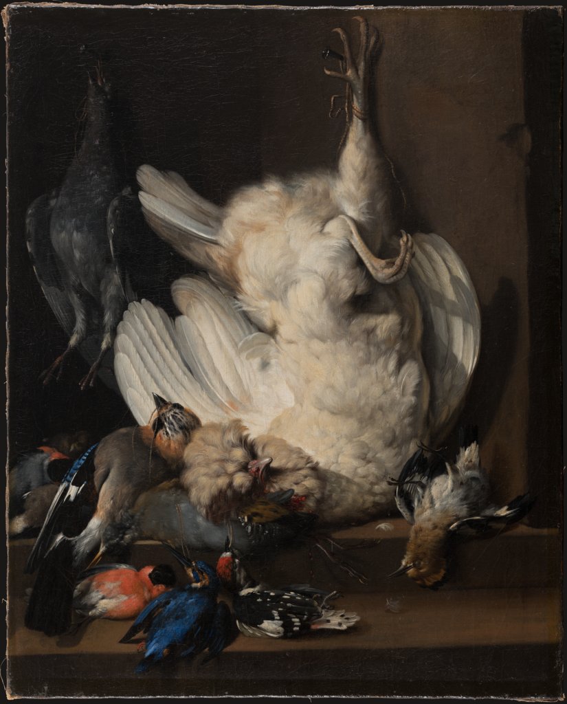 Still Life with Dead Birds, Johann Heinrich Roos