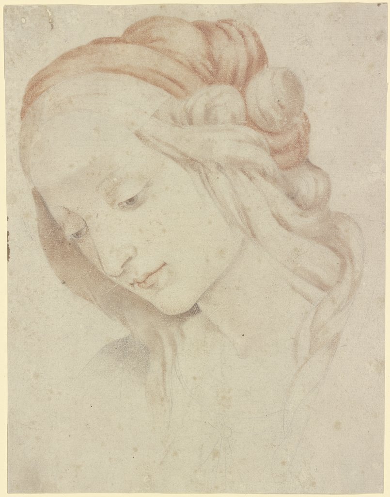 Frauenkopf (Heilige Elisabeth?), im Dreiviertelprofil nach links geneigt, Art des Filippino Lippi;   ?