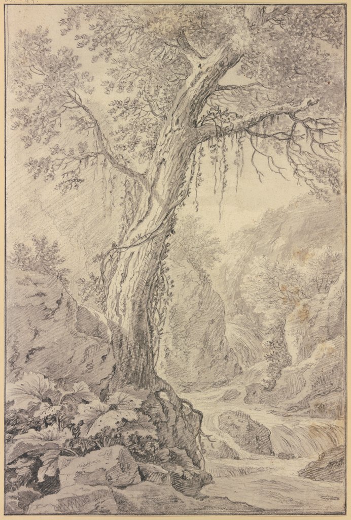 Wasserfall, dabei ein großer Baum, Willem von Bemmel