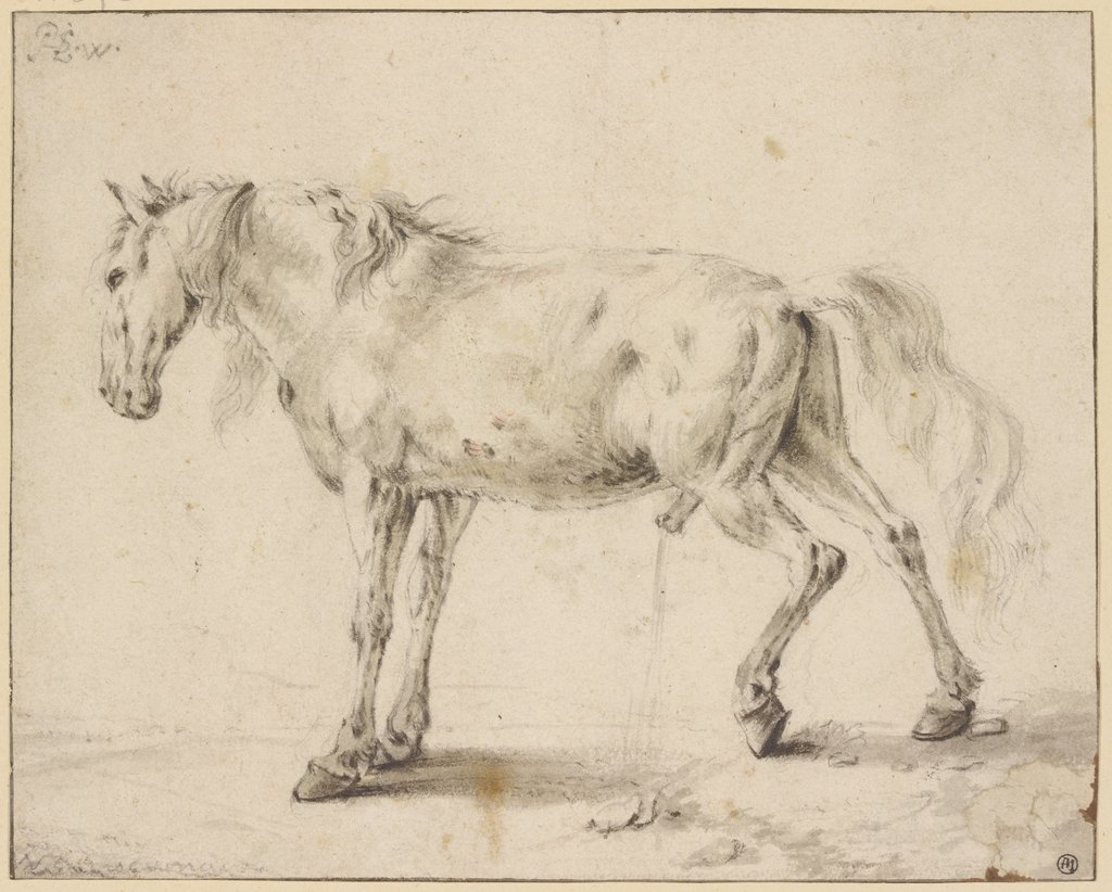 Peeing horse, Philips Wouwerman