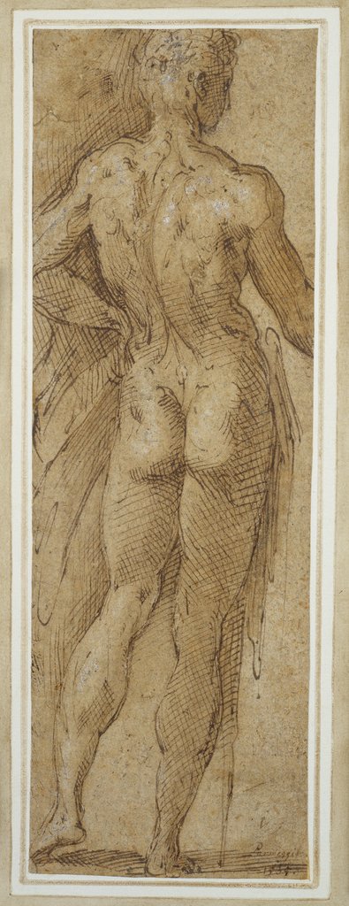 Stehender männlicher Akt in Rückenansicht, Parmigianino