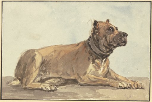 Liegende Dogge Den Kopf Erhoben Digital Collection