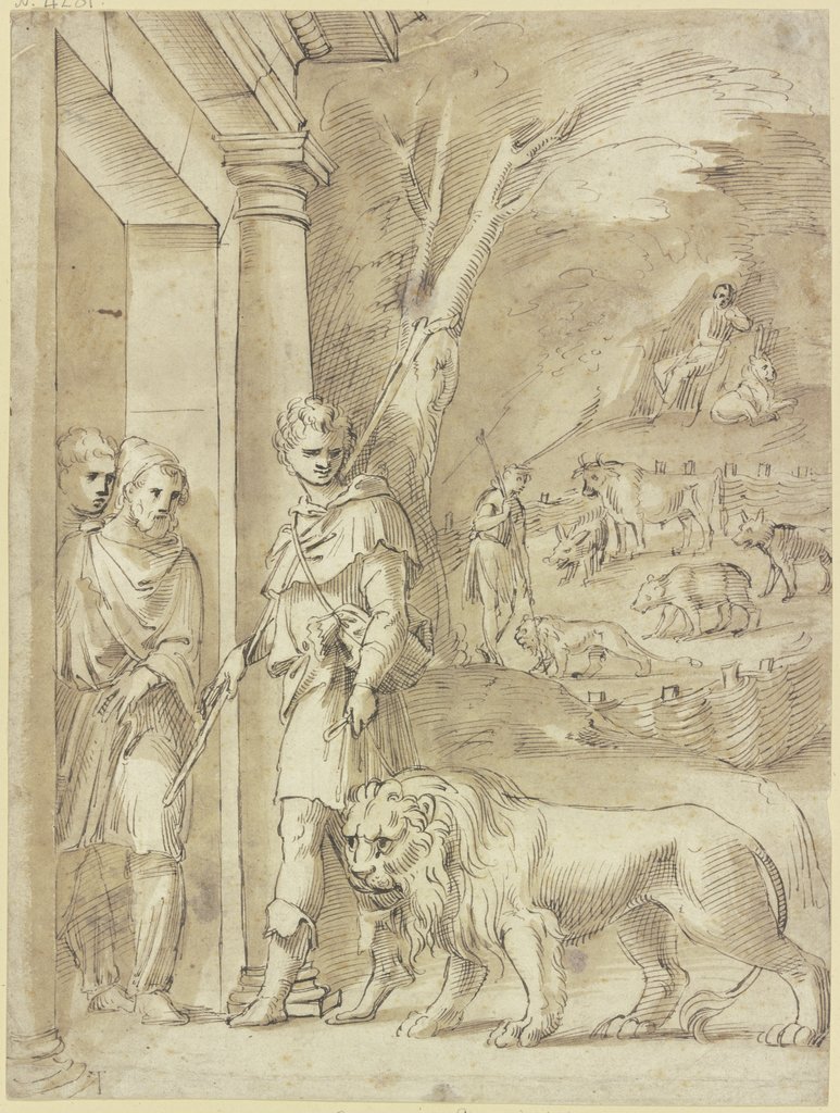Androcles and the lion, Baldassare Peruzzi;   ?