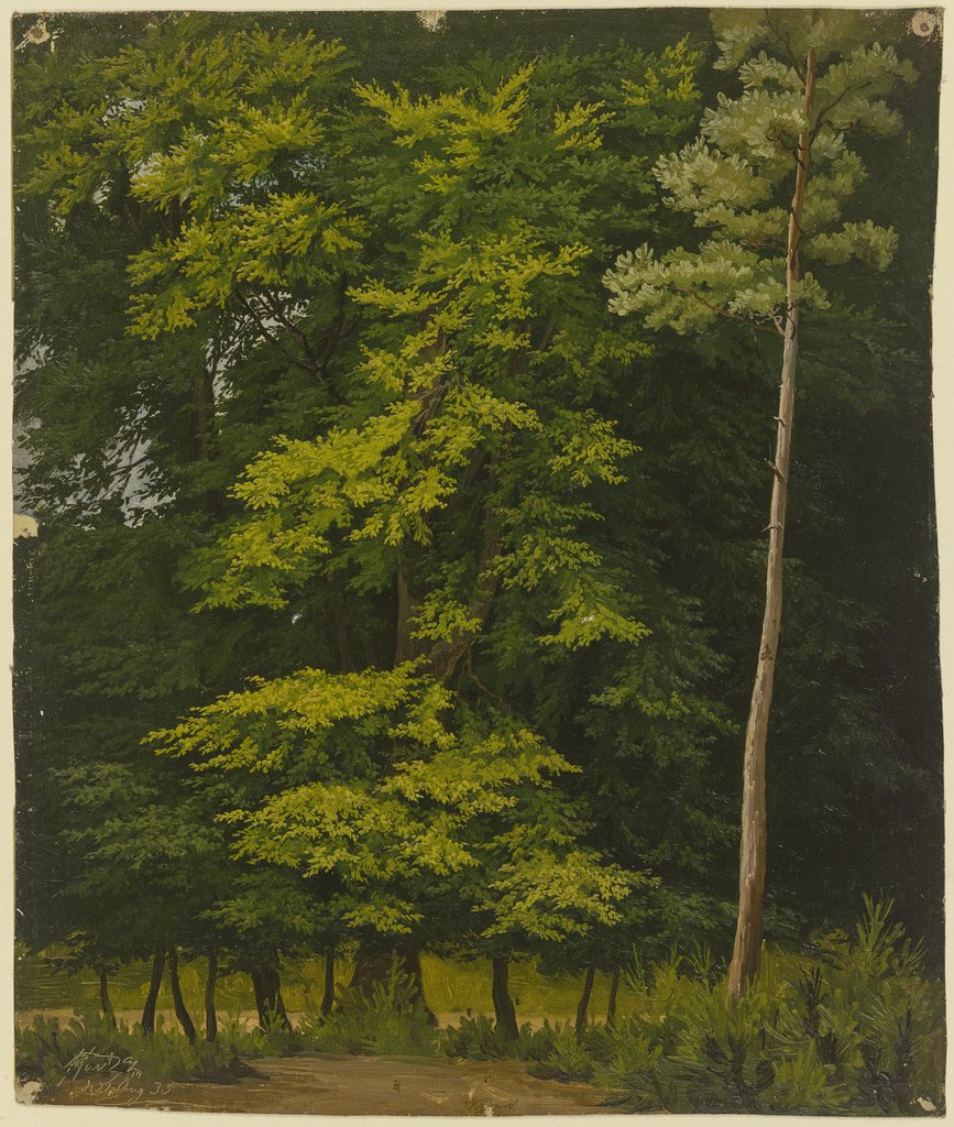 Broadleaf forest (study in oil), Christian Heerdt