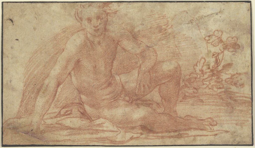 Sitzender Jünglingsakt mit aufgestützter rechter Hand, Andrea del Sarto;   ?
