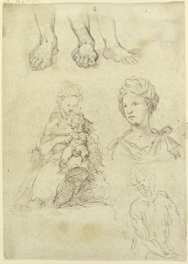 Studienblatt: Madonna, drei Füße, ein weibliches Brustbild, style of Parmigianino;   ?