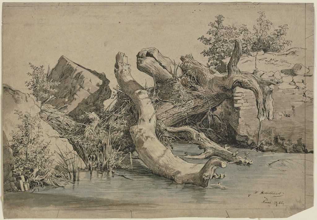 Gestürzter Baum an einem Bach, Johann Heinrich Hasselhorst