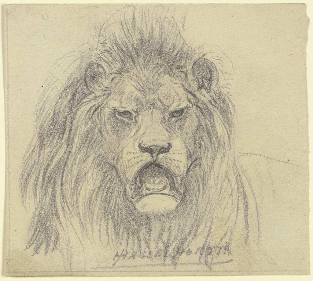 Lion's head, Johann Heinrich Hasselhorst