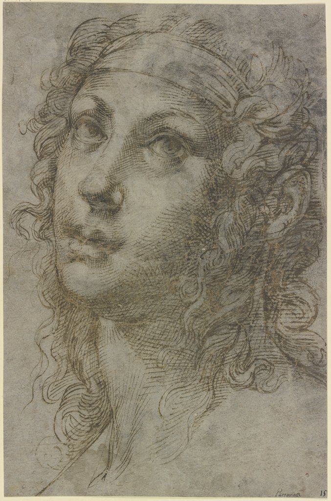 Kopf einer jungen Frau im Dreiviertelprofil nach links, Bartolomeo Passarotti;   ?