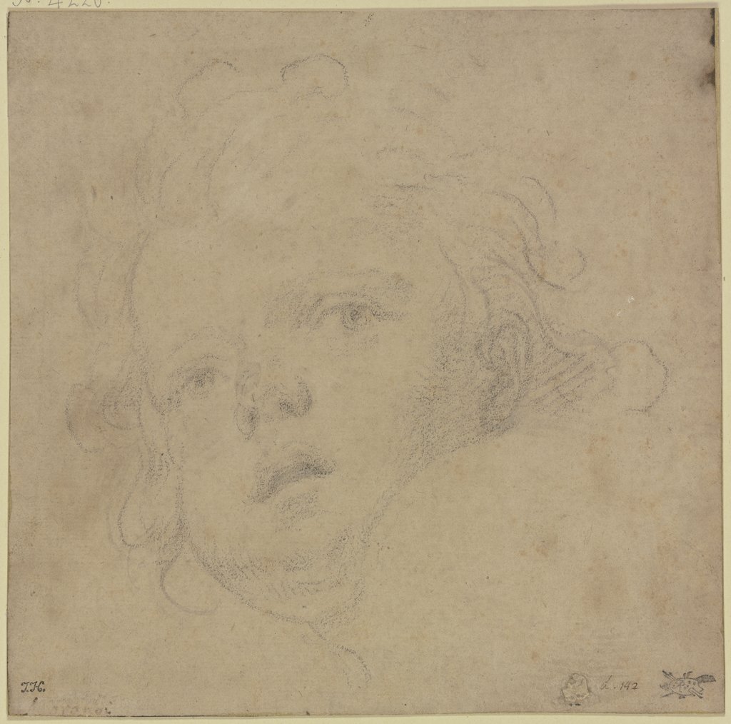 Angel's head, Giovanni Maria Morandi;   ?
