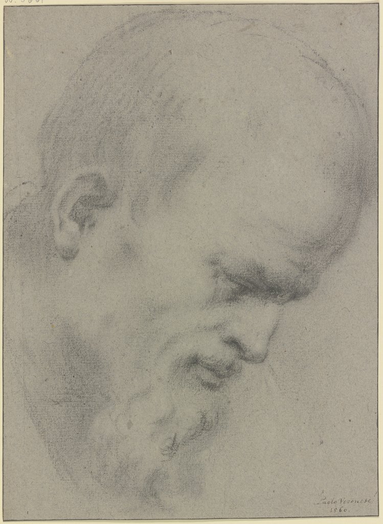 Männlicher Kopf nach rechts geneigt, Italienisch, 16. Jahrhundert