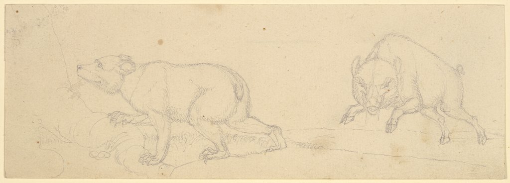 Ein Bär und ein angriffslustiges Wildschwein, Franz Pforr