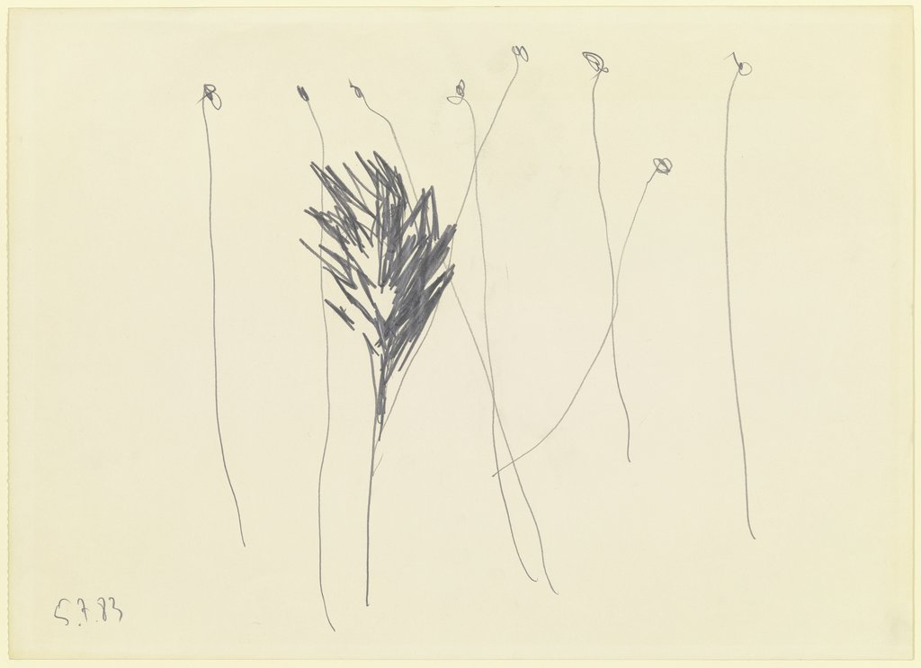 Grasses, Nicole van den Plas