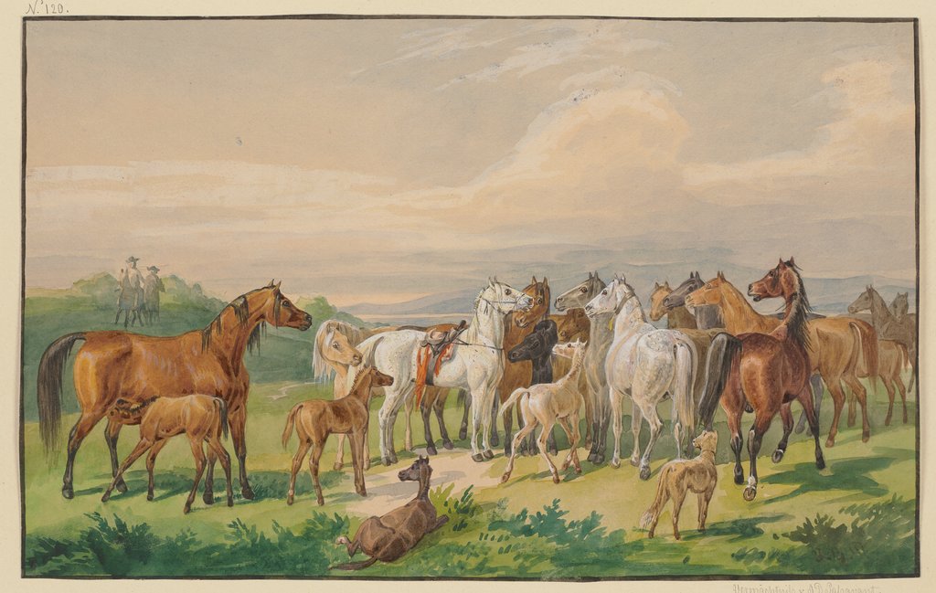 Ein gesatteltes Militärpferd kehrt zu seiner wilden Herde zurück, Johann Erdmann Gottlieb Prestel