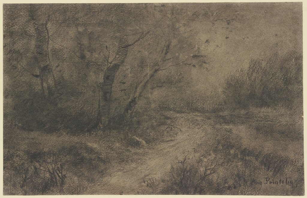 Forest landscape, Auguste Pointelin