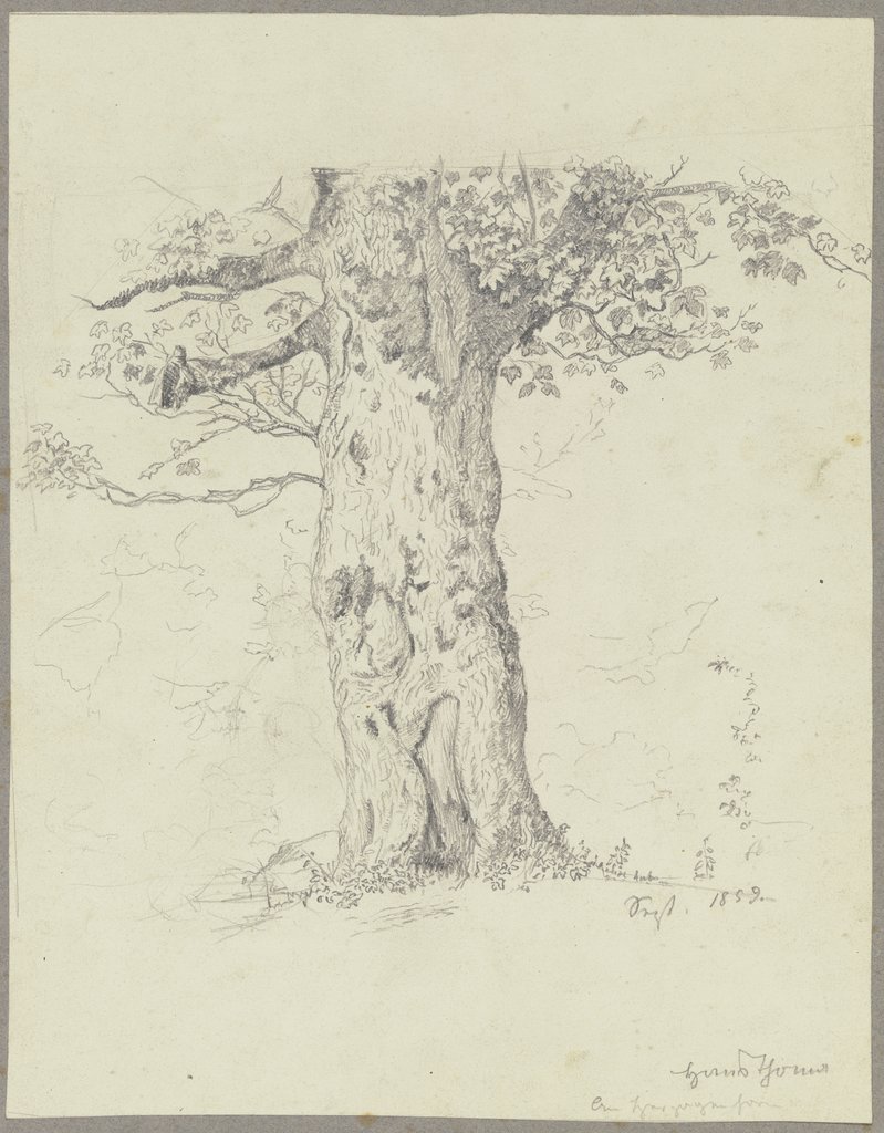 Tree, Hans Thoma