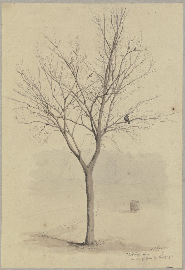 Leafless tree with birds, Hans Thoma