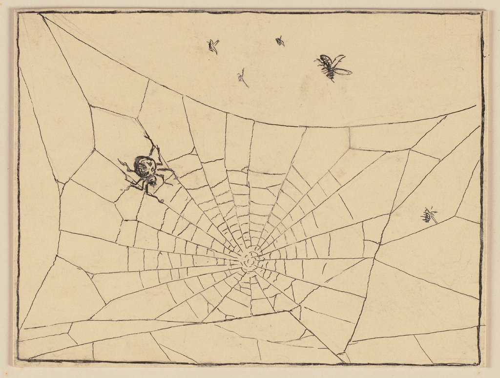 Zeichnung zur Fibel: Spinne, Hans Thoma