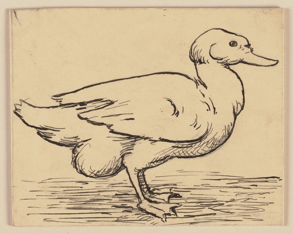 Zeichnung zur Fibel: Ente, Hans Thoma