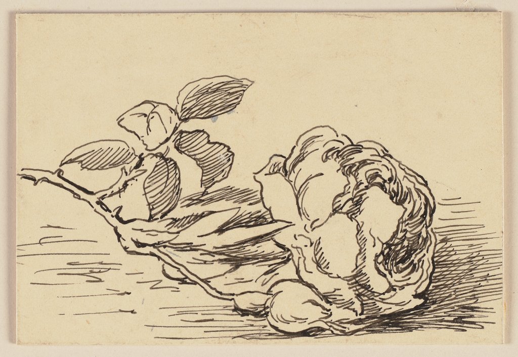 Drawing for the primer: Rose, Hans Thoma