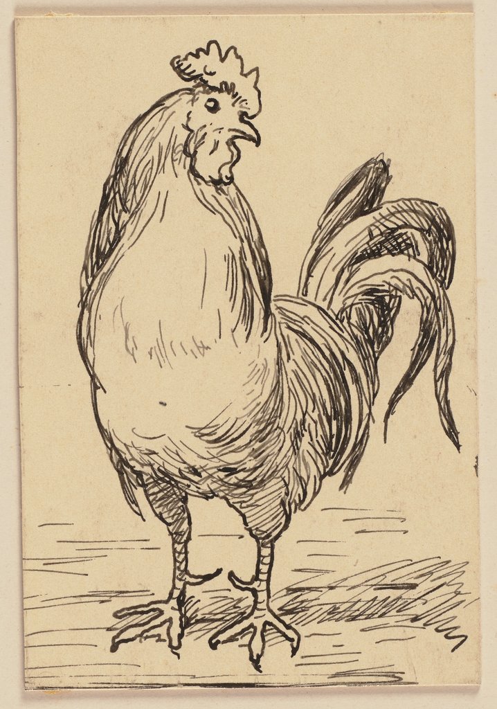 Drawing for the primer: Rooster, Hans Thoma