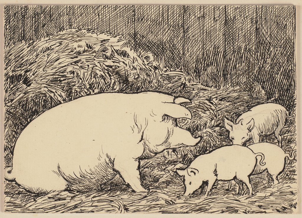 Zeichnung zur Fibel: Schwein, Hans Thoma