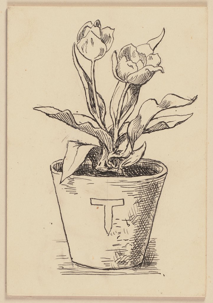 Drawing for the primer: Tulip, Hans Thoma