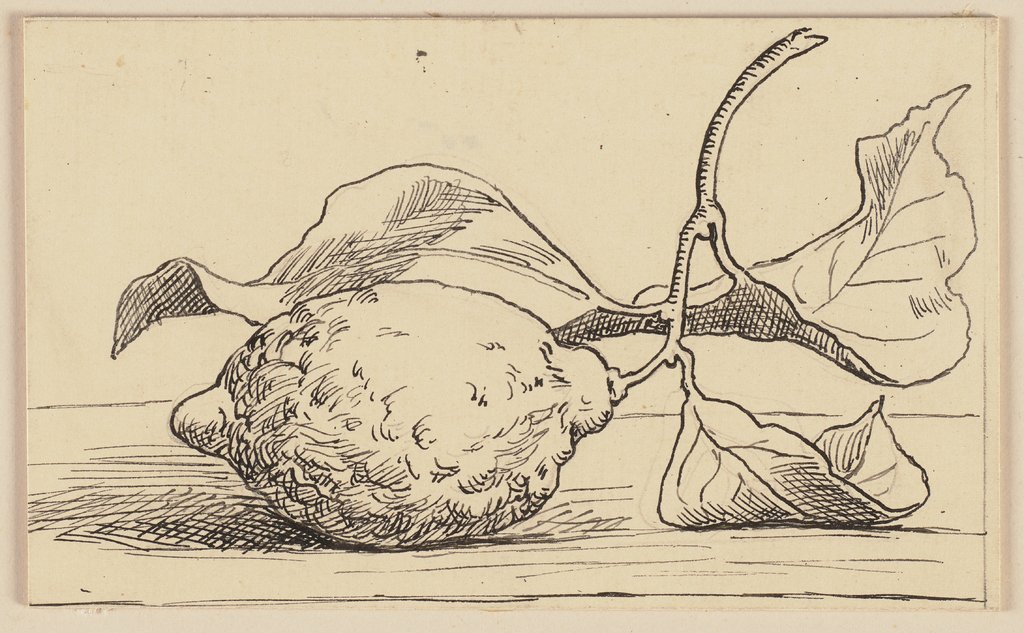 Zeichnung zur Fibel: Zitrone, Hans Thoma
