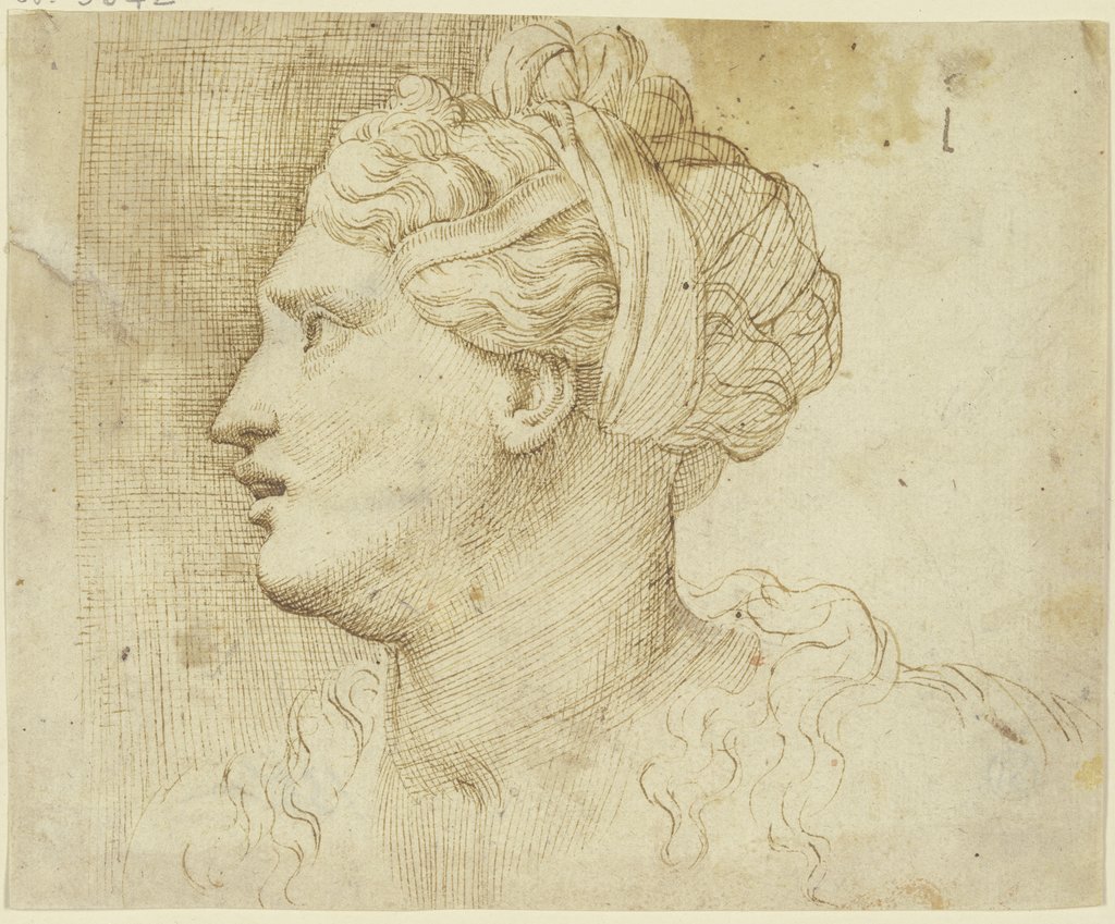 Frauenkopf, Italienisch, 16. Jahrhundert