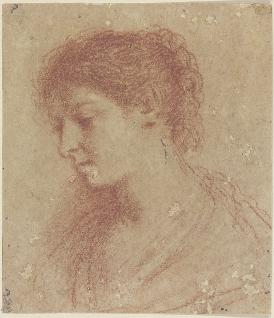 Kopf einer jungen Frau nach links gewandt, Italian, 17th century