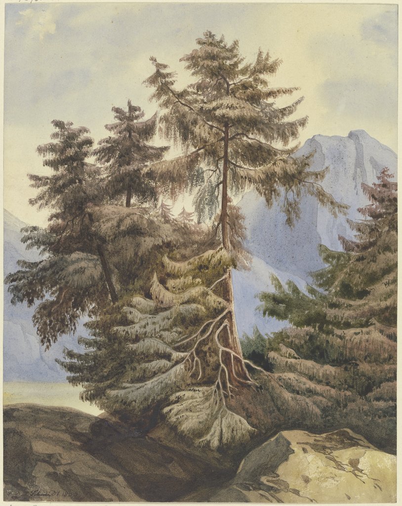 Drei Tannen im Gebirge, Ludwig Daniel Philipp Schmidt