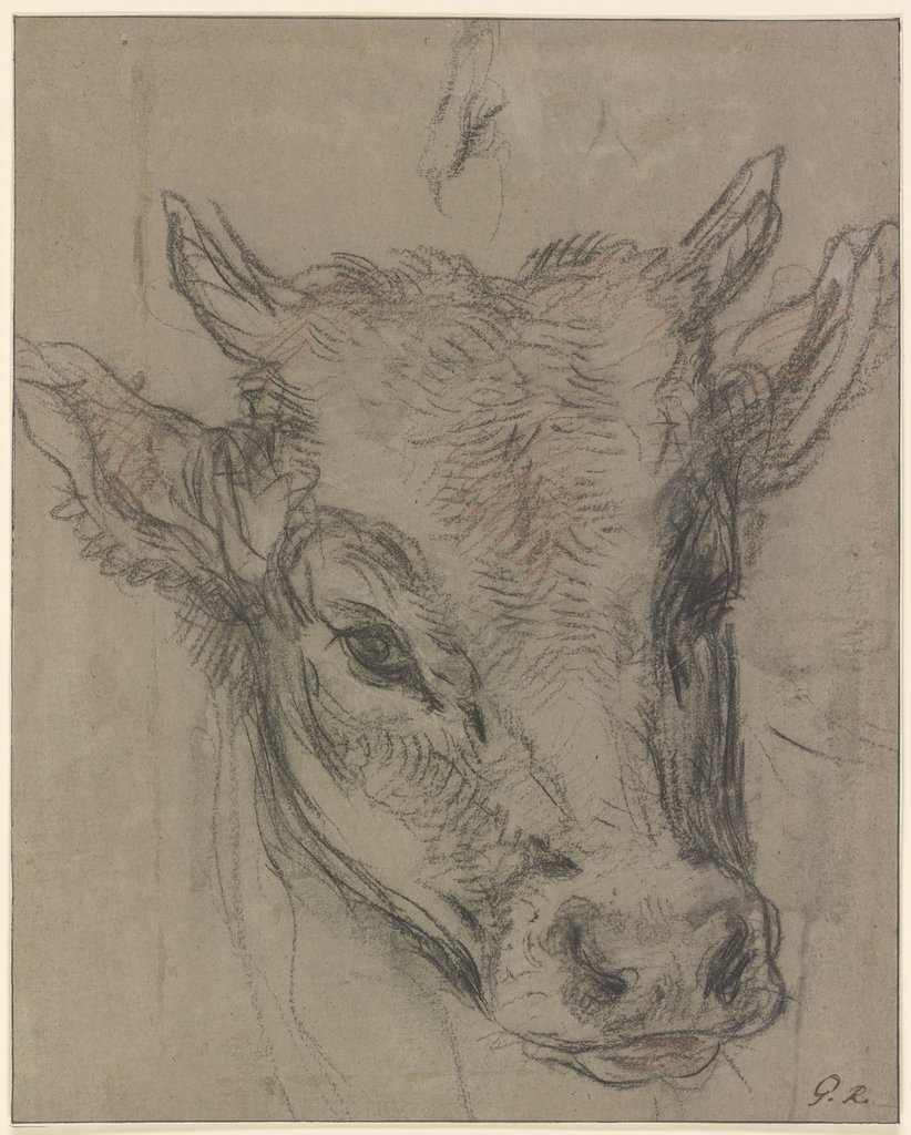 A calf's head, Willem Romeyn;   ?