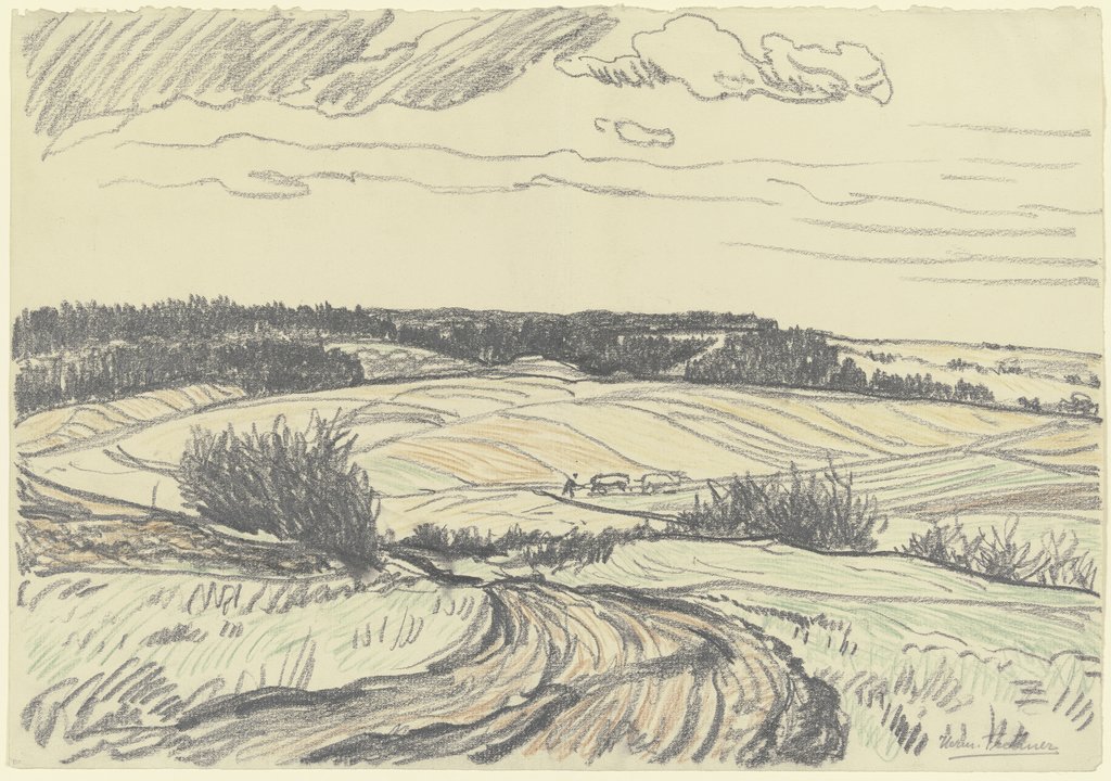 Hügellandschaft mit Feldern, Hermann Treuner