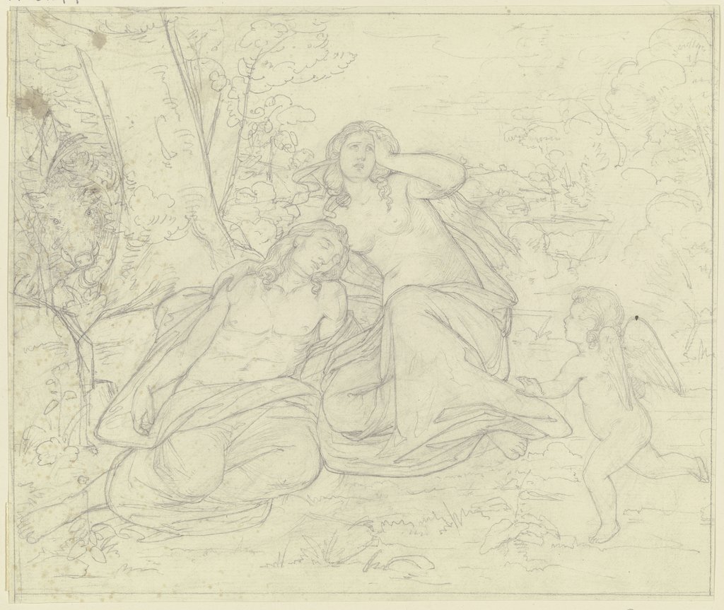 Venus mourning Adonis, Philipp Winterwerb
