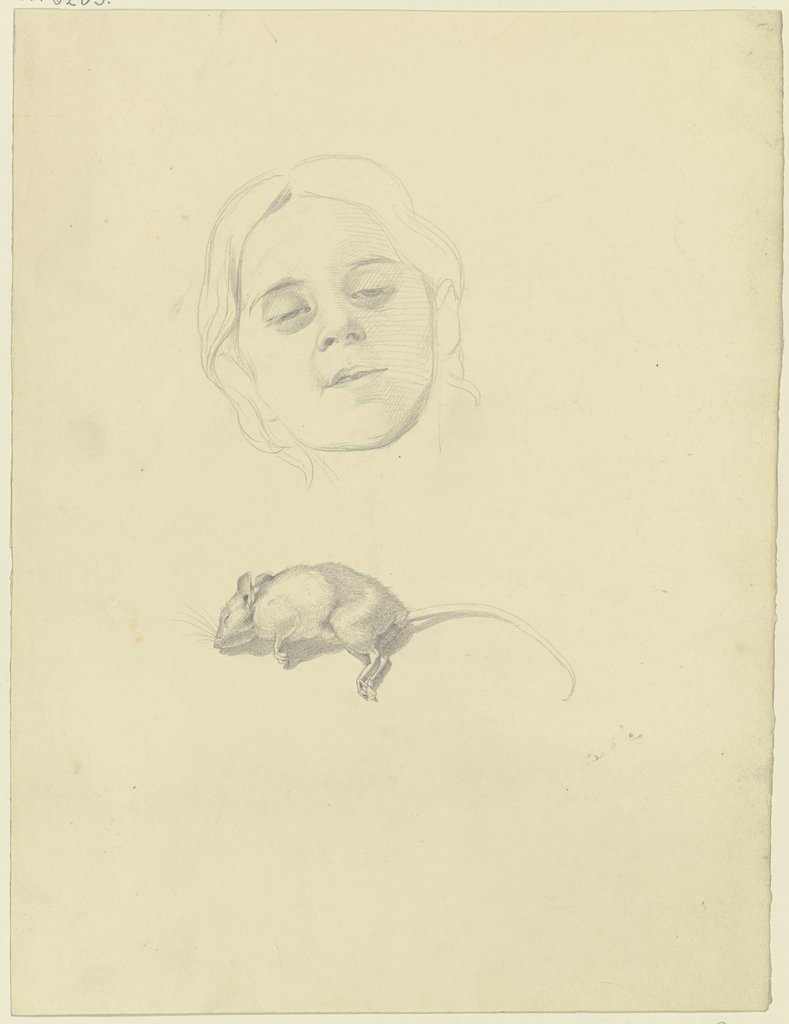 Bildnis eines Mädchens, darunter eine tote Maus, Philipp Winterwerb