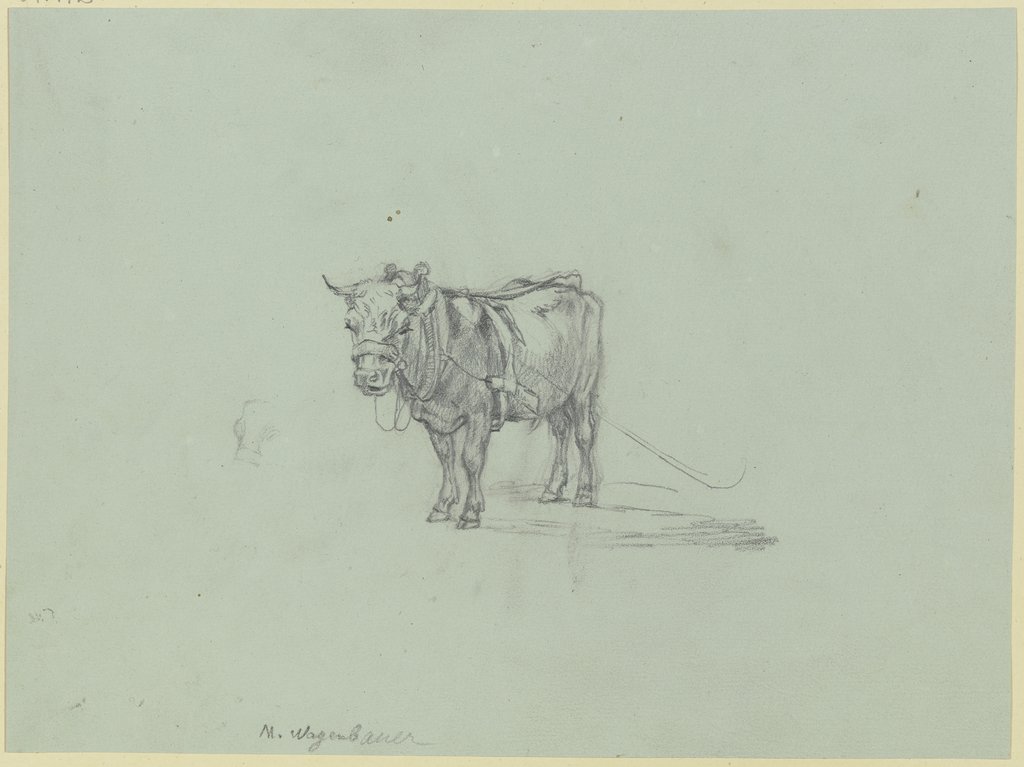 Harnessed ox, Max Joseph Wagenbauer