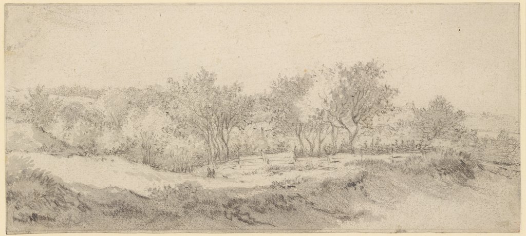 Small section of a tree with a fence, Jacob Isaacksz. van Ruisdael