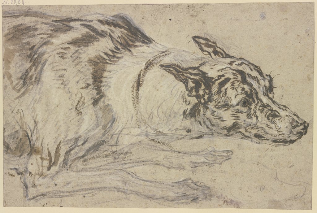 Gefleckter Hundekopf mit Vorderpfoten, Frans Snyders