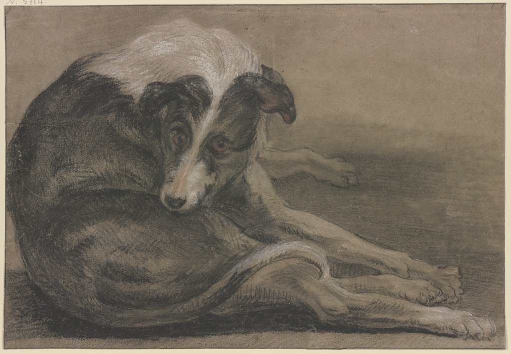 Windhund, liegend, Frans Snyders