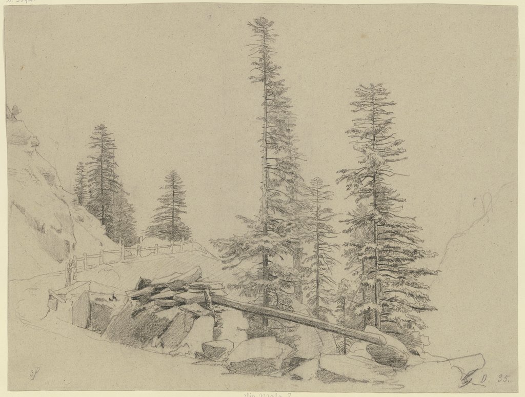 Spruce trees at the Via Mala, Johann Wilhelm Schirmer