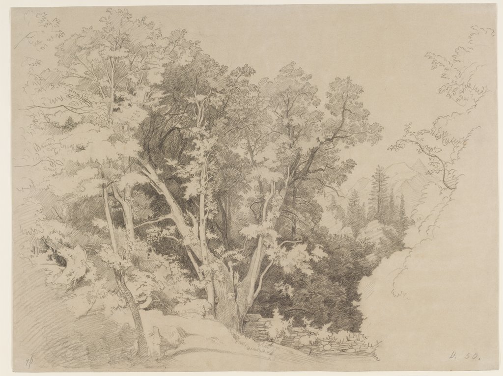 Baumgruppe mit gespaltenem Baum, Johann Wilhelm Schirmer
