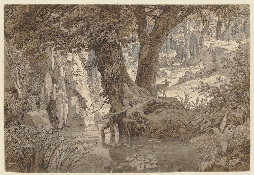 Forest landscape, Johann Wilhelm Schirmer