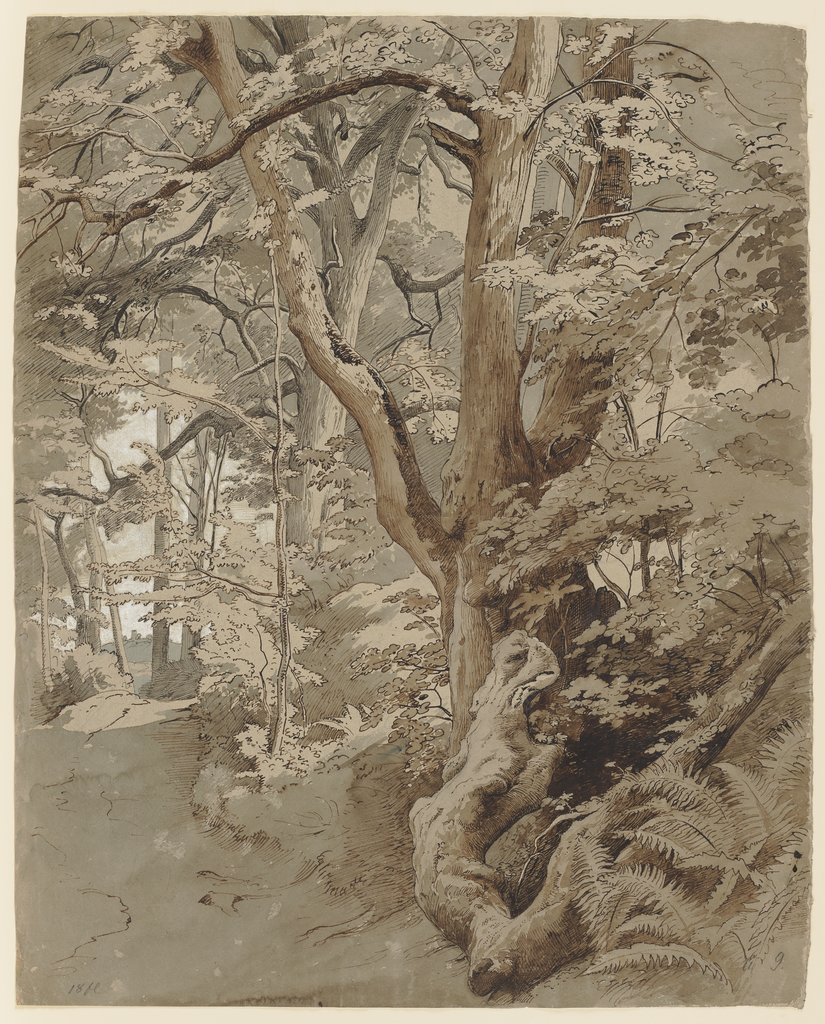 Waldpartie mit einer Eiche und Farnkraut, Johann Wilhelm Schirmer
