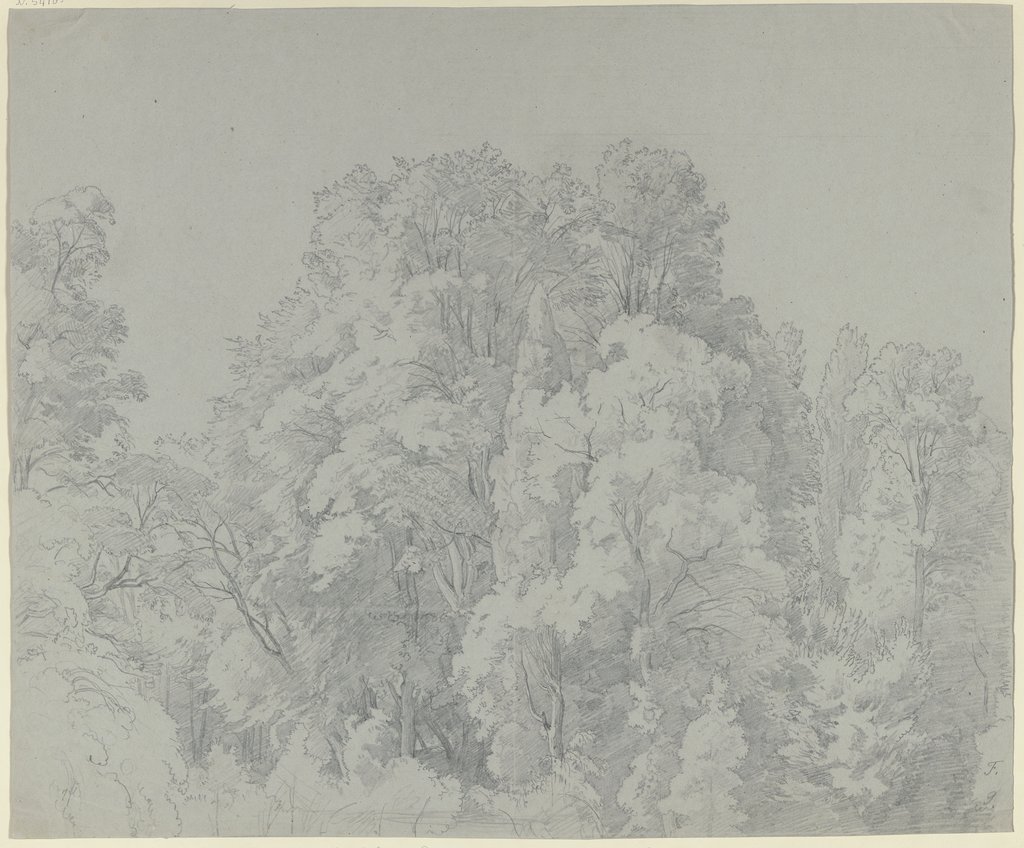 Forest section, Johann Wilhelm Schirmer