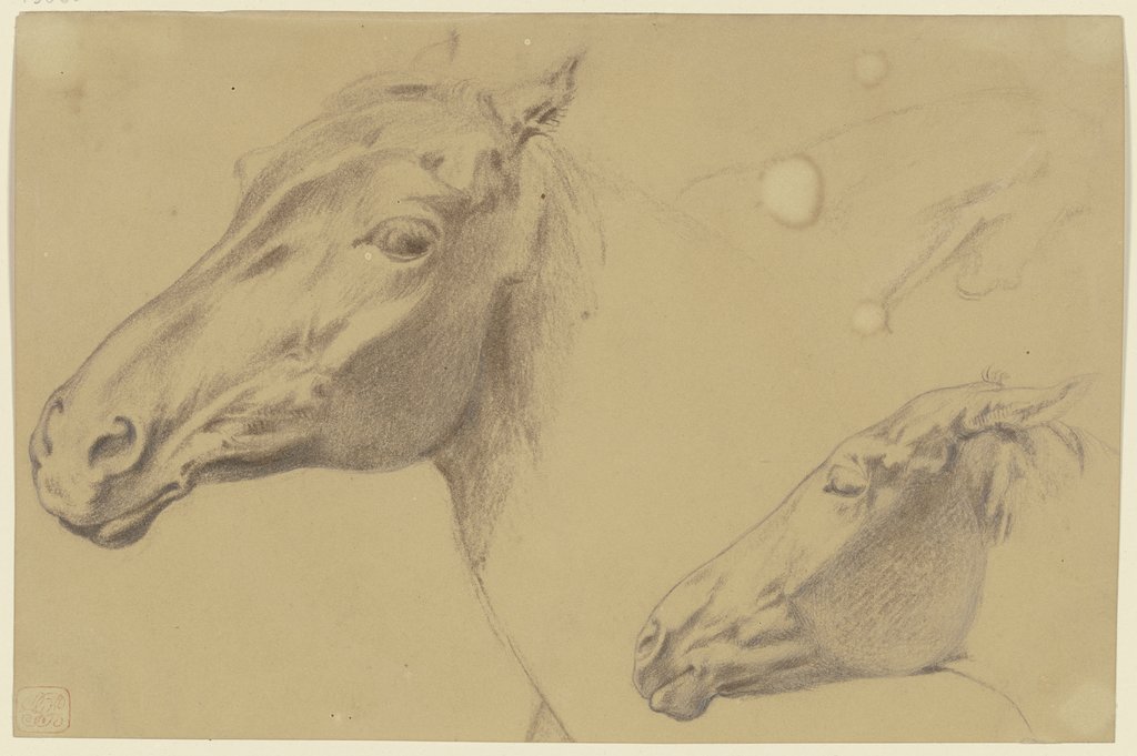 Kopf eines Pferdes sowie eines Fohlens nach links, Teutwart Schmitson
