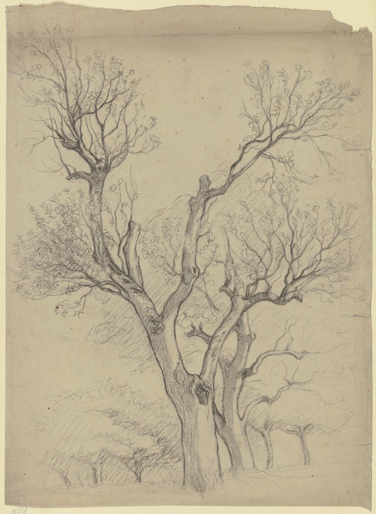 Kahles Baumpaar, Otto Scholderer