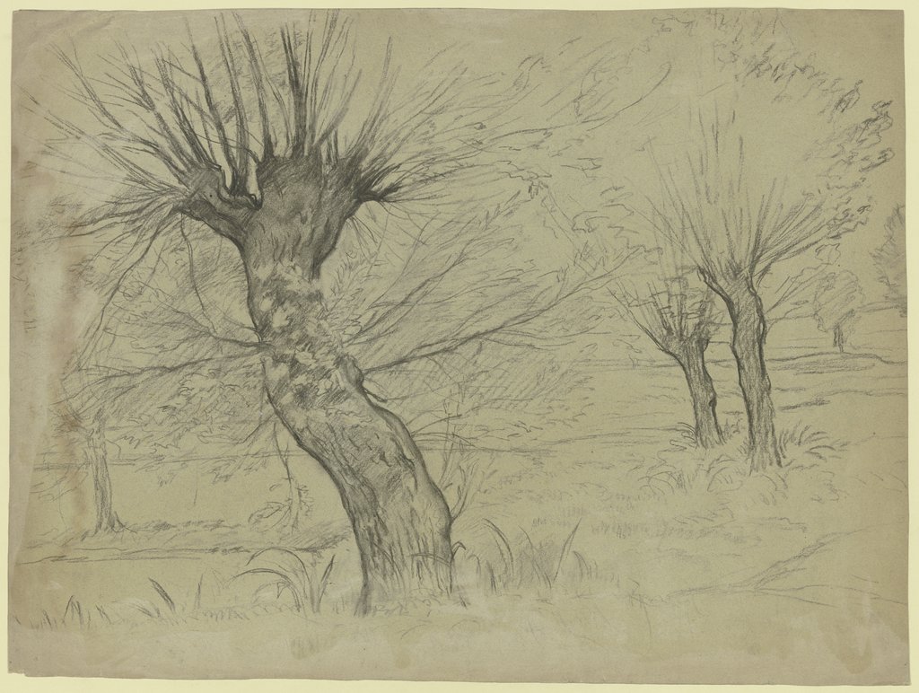 Leafless willow, Otto Scholderer