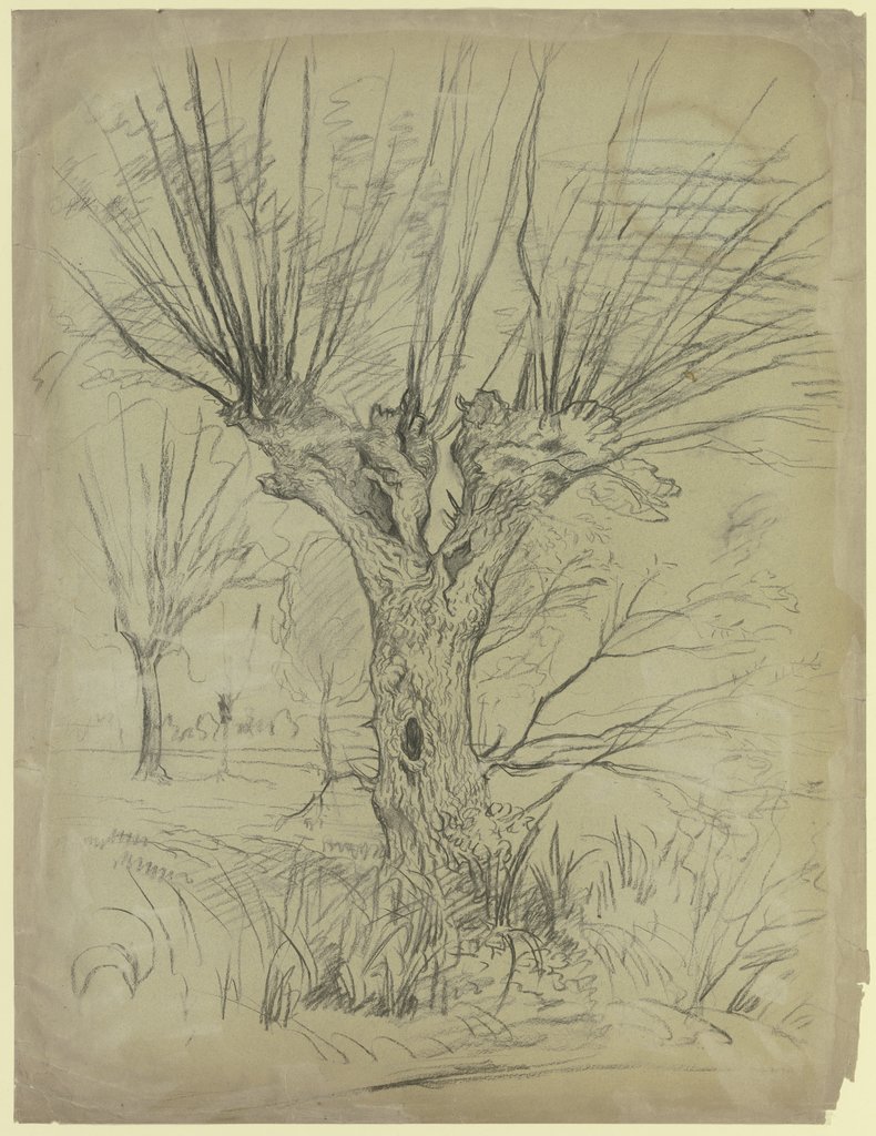 Willow tree, Otto Scholderer